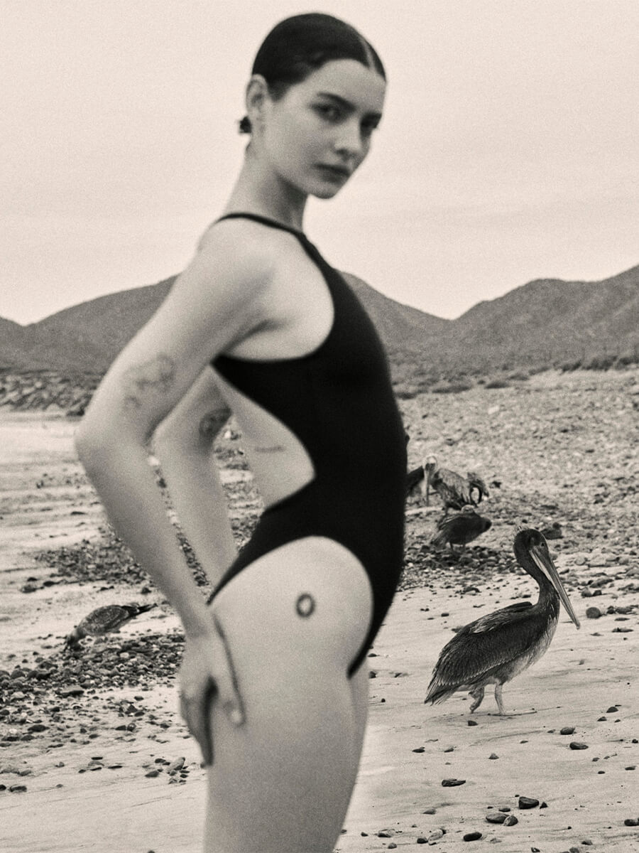 #color_Scotland/Zenith