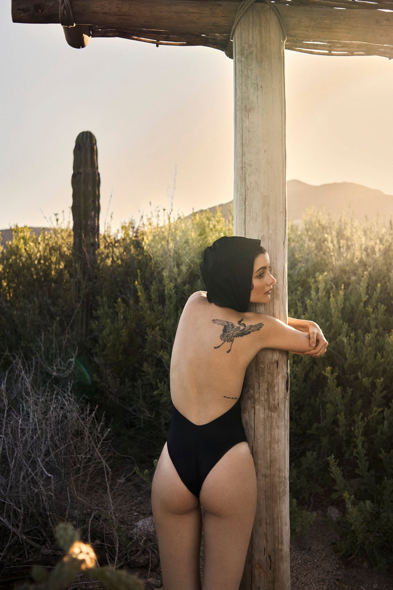 #color_Nero/Titanium